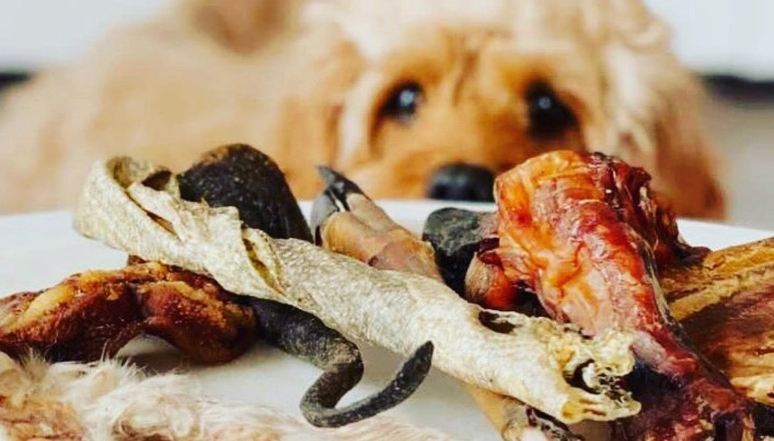 NY Resolutions The Best Natural Treats for Dogs Woof Club Naturals