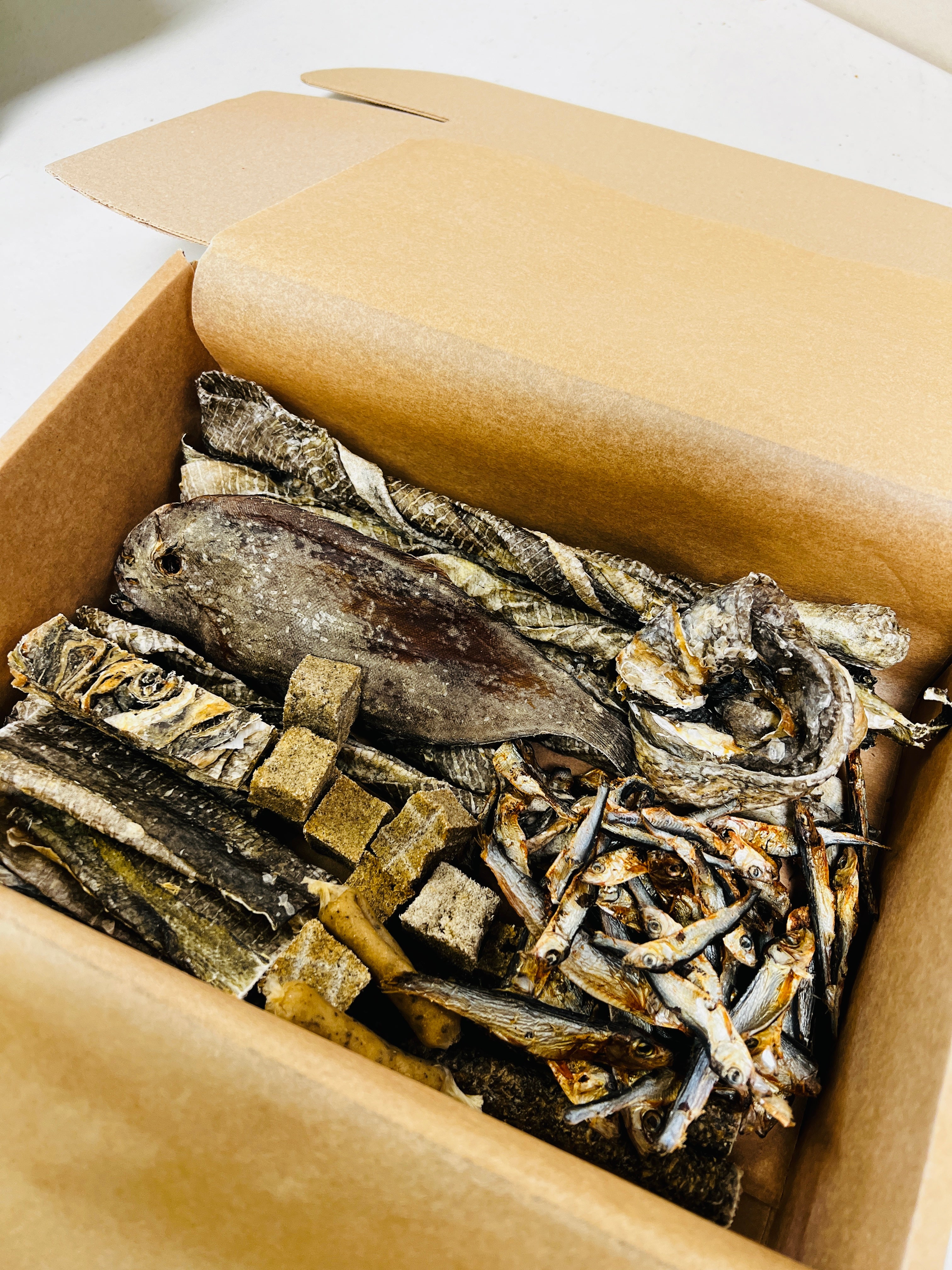 dry fish box Toadfish The ancient need to preserve foods by salting and air 11" Marine Dry Box