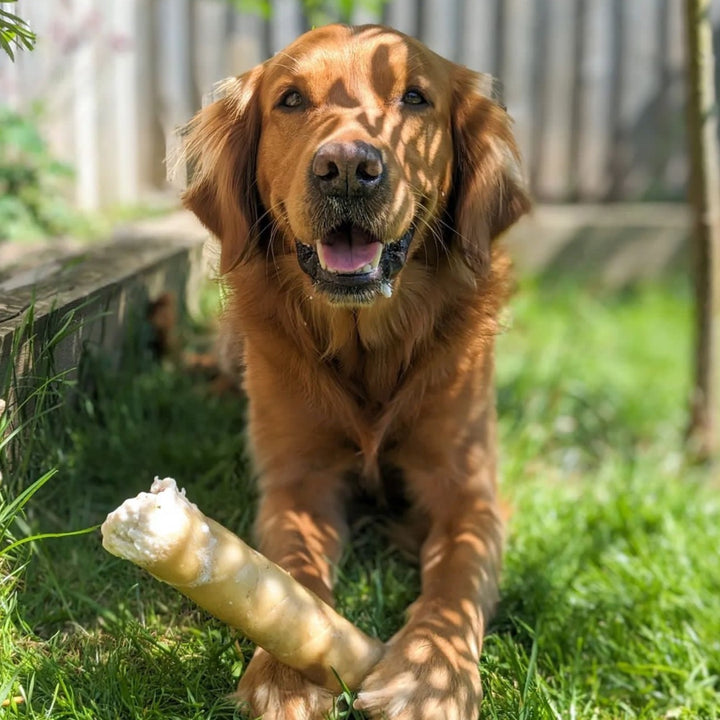 Lamb & Peanut Roll Chew