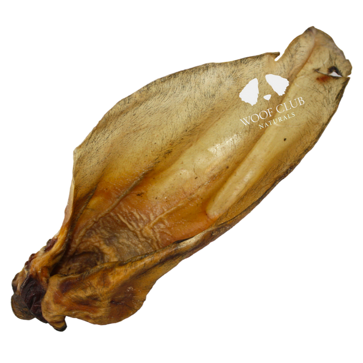 Large Buffalo Ears with Meat