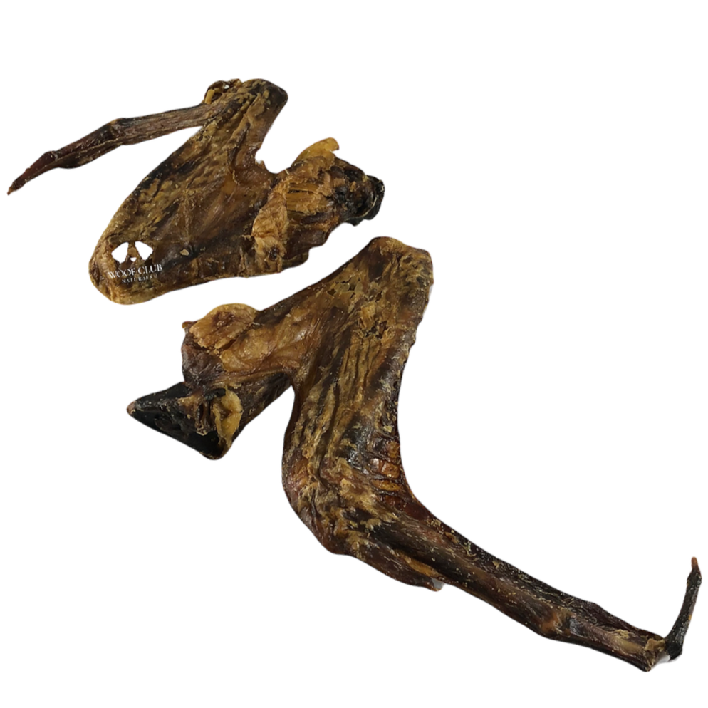 Duck Wing