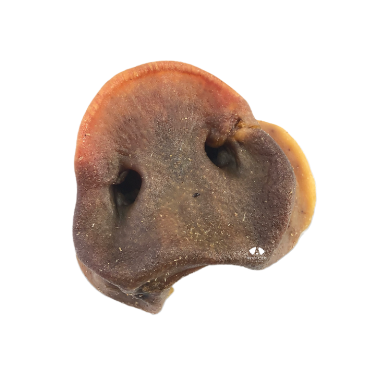 Pig Snout (4 pack) Woof Club Naturals