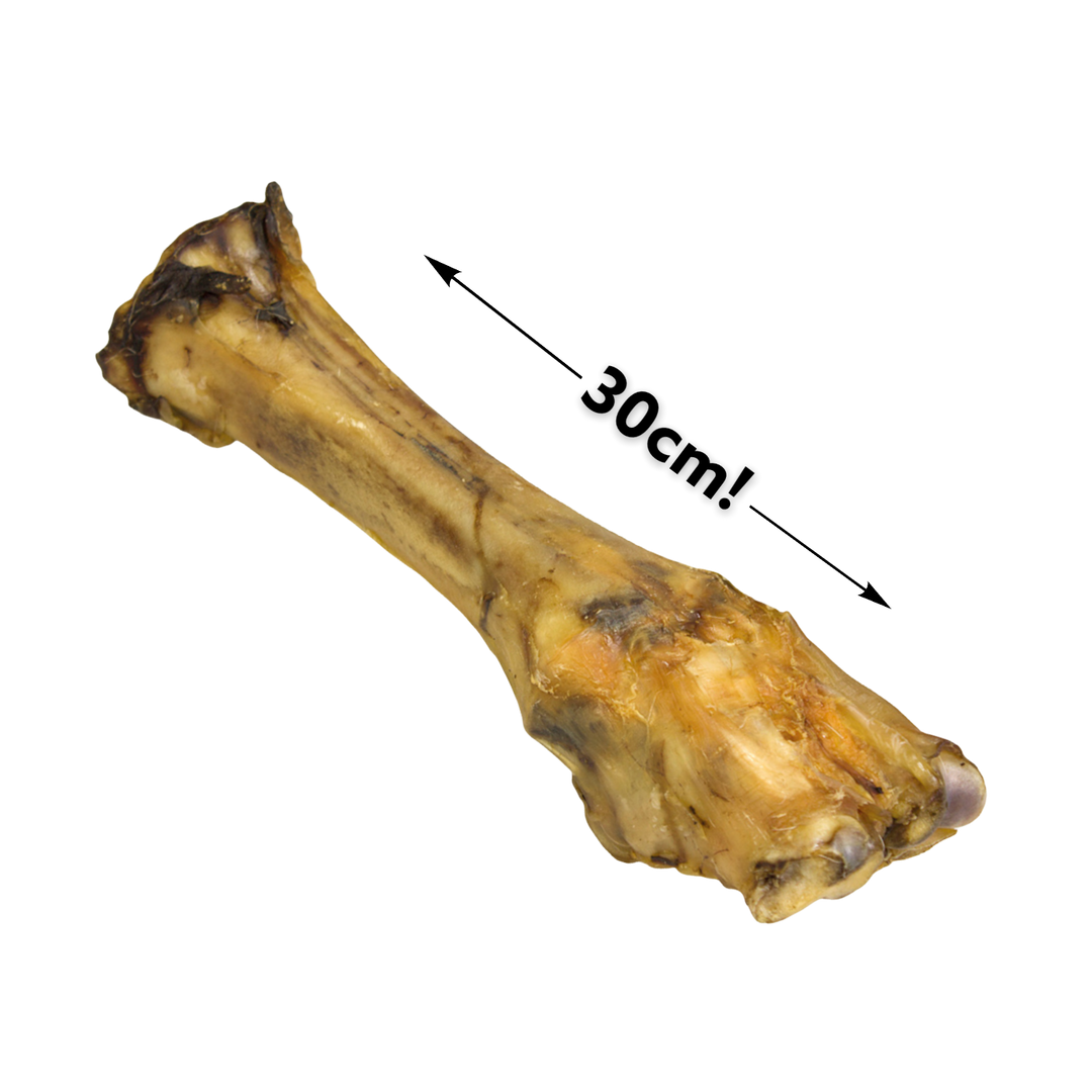Beef Leg Bone