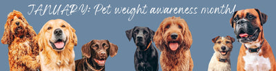 Pet Weight Awareness Month!