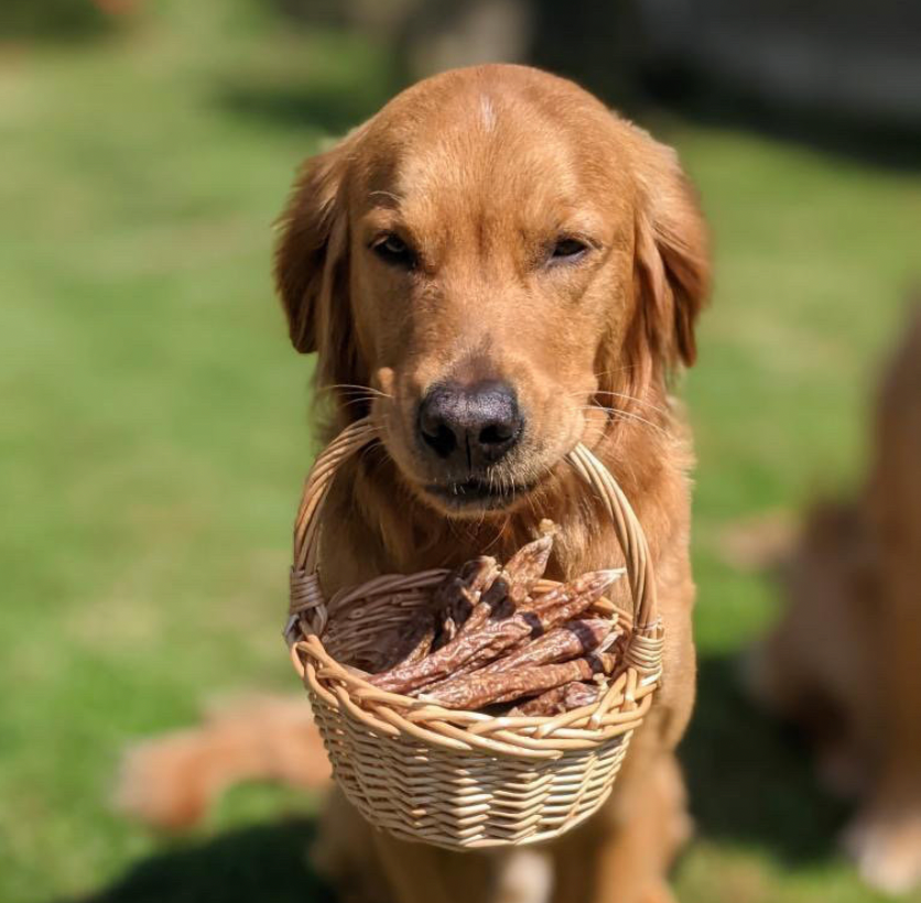 Handy Treats