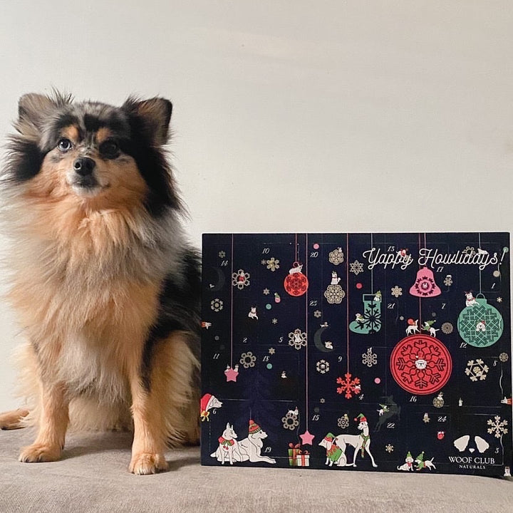 Advent Calendar for Dogs by Woof Club Naturals