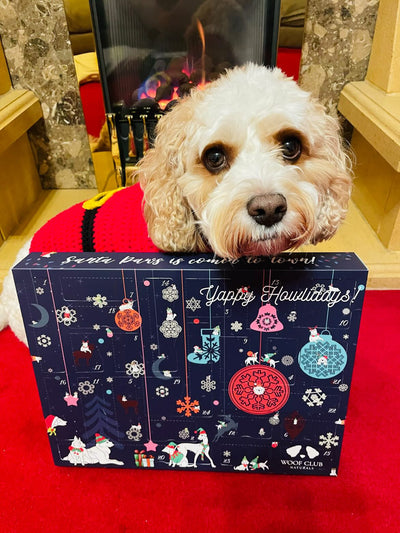 Advent Calendar for Dogs by Woof Club Naturals