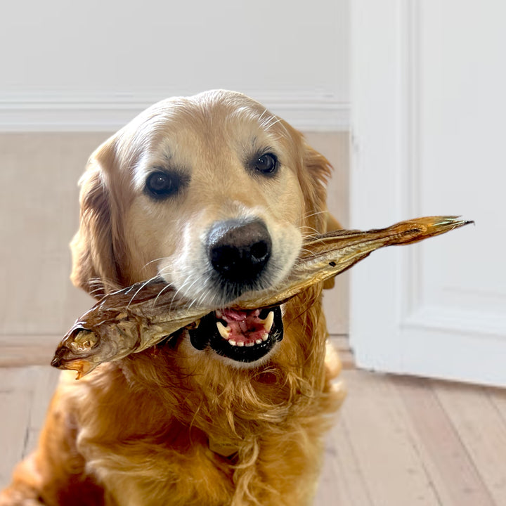 Whole Dried Haddock