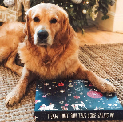 Advent Calendar for Dogs by Woof Club Naturals