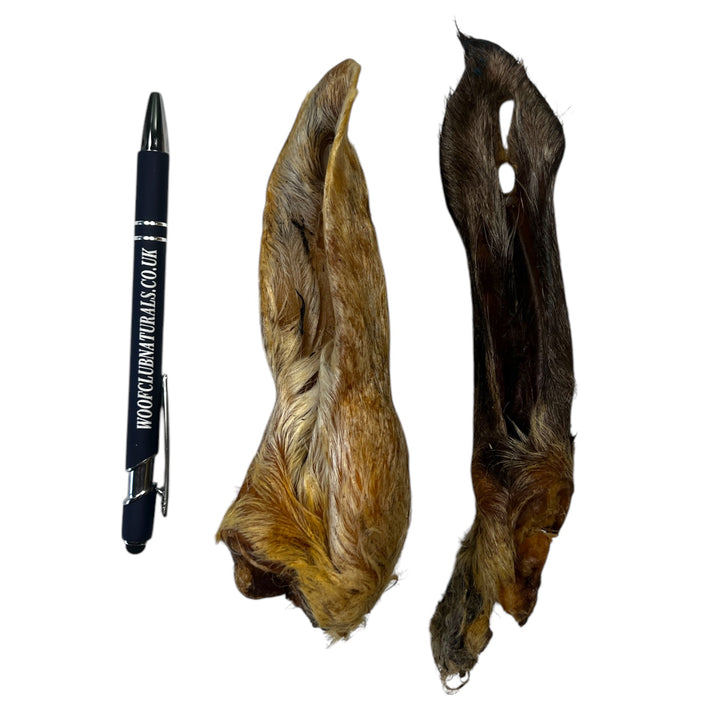 Lamb Ears With Hair