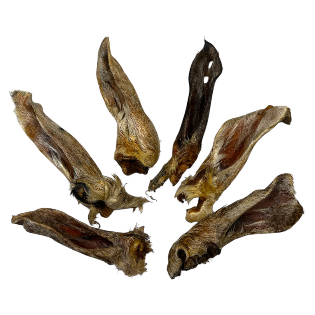 Lamb Ears With Hair