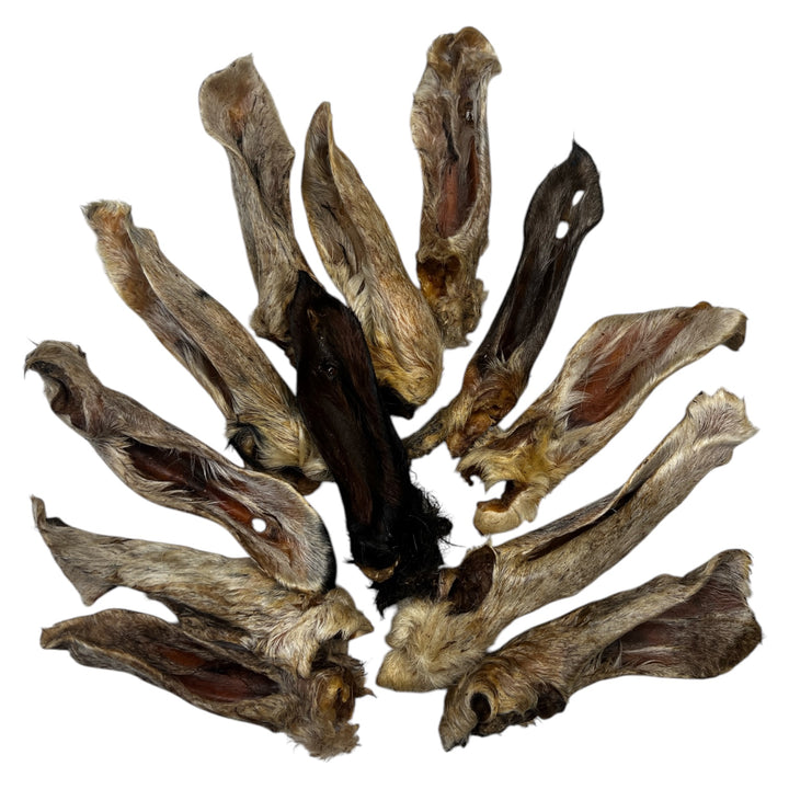 Lamb Ears With Hair
