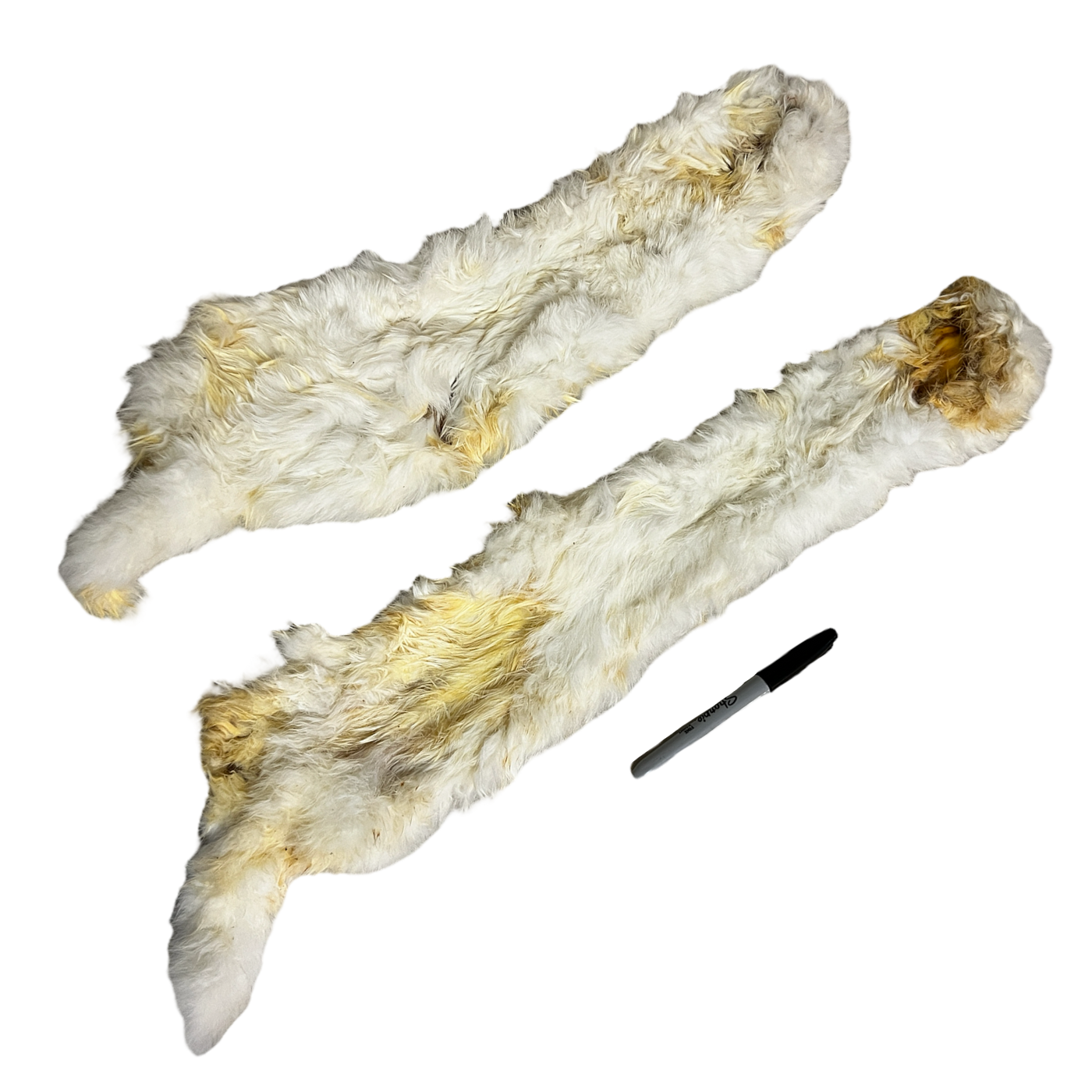 XL Rabbit Skin with Hair (40cm!)