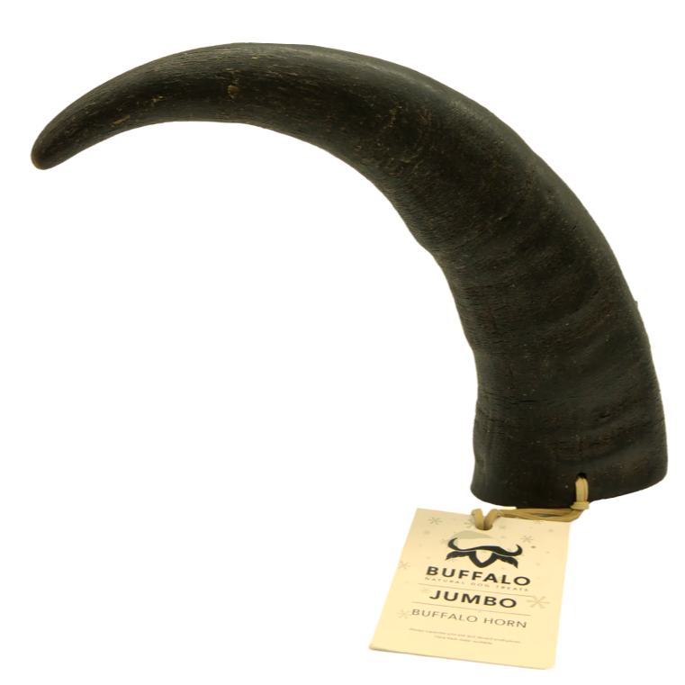 Buffalo Horn