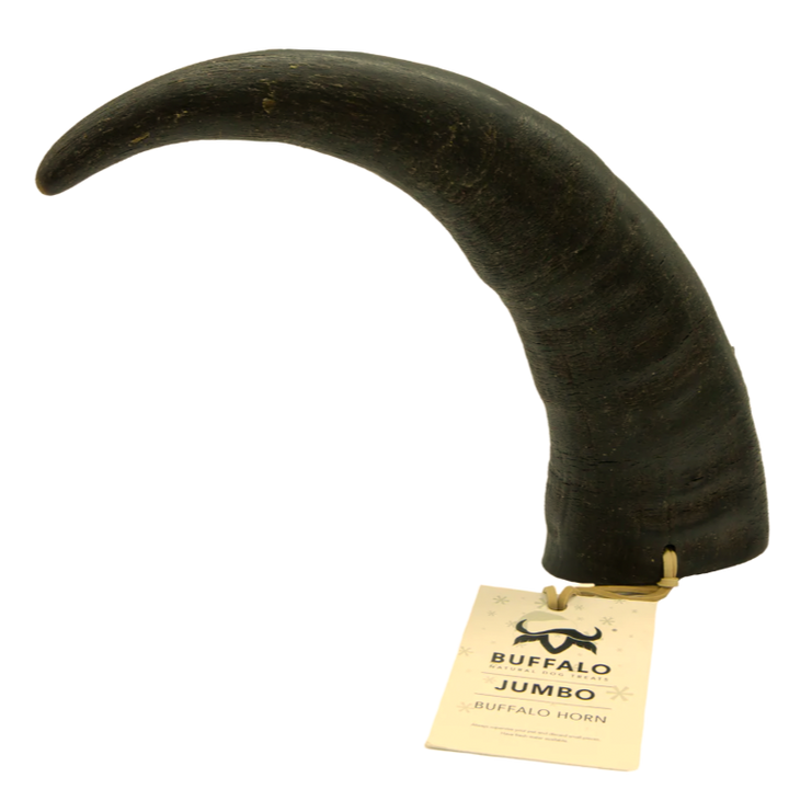 Buffalo Horn