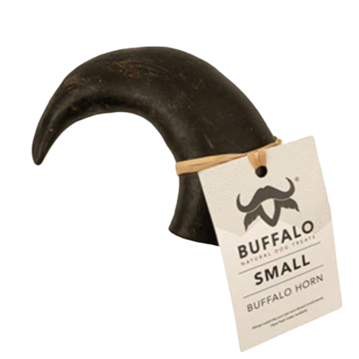 Buffalo Horn