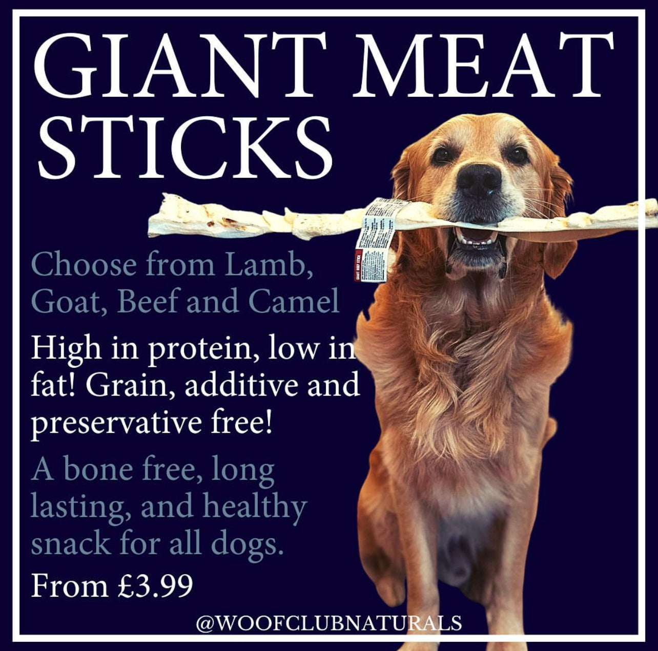 Giant Meat Stick (2 pack)