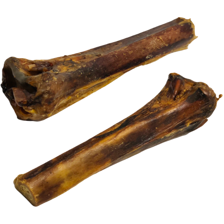 Ostrich Metatarsal Bone