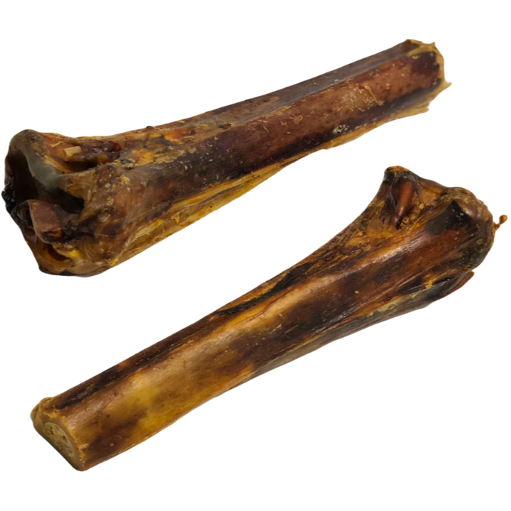 Ostrich Metatarsal Bone