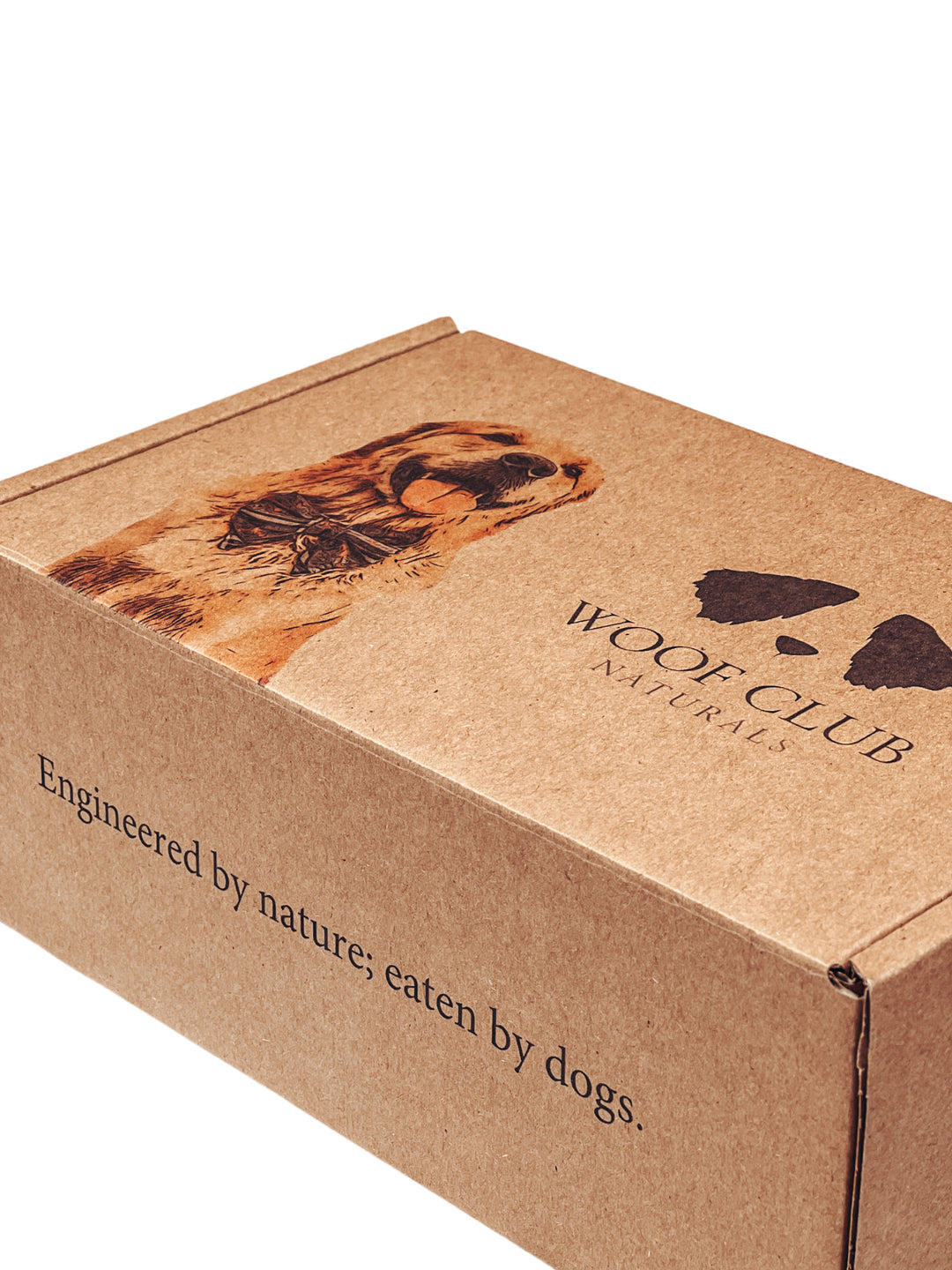 Signature Treat Box for Dogs by Woof Club Naturals