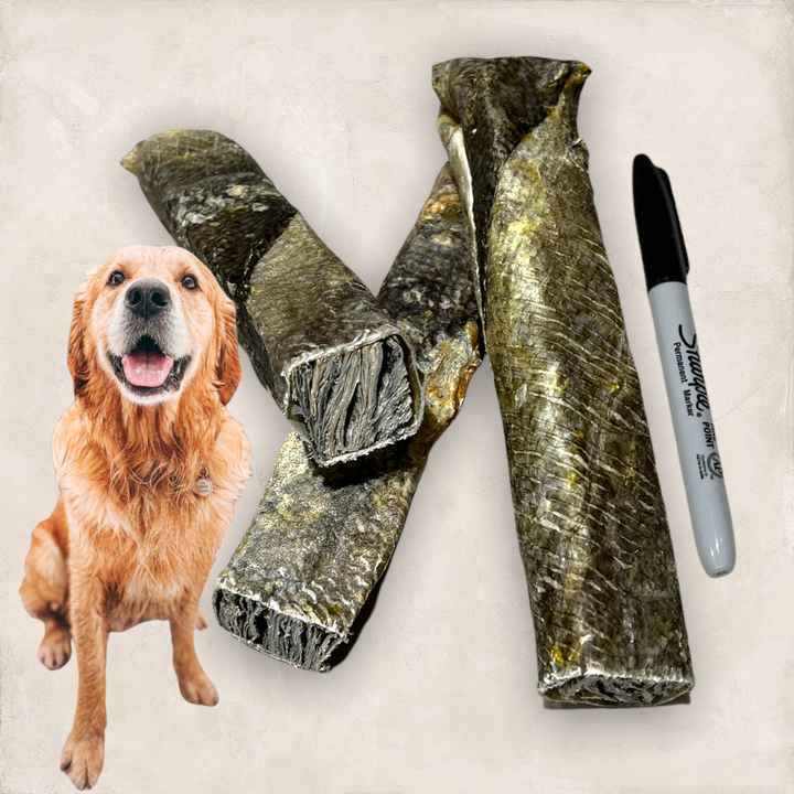 The Big Catch Fish Skin Dog Chew