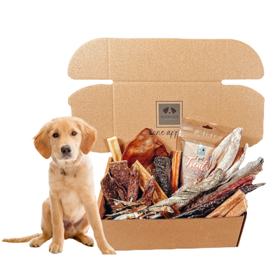 Puppy Box by Woof Club Naturals