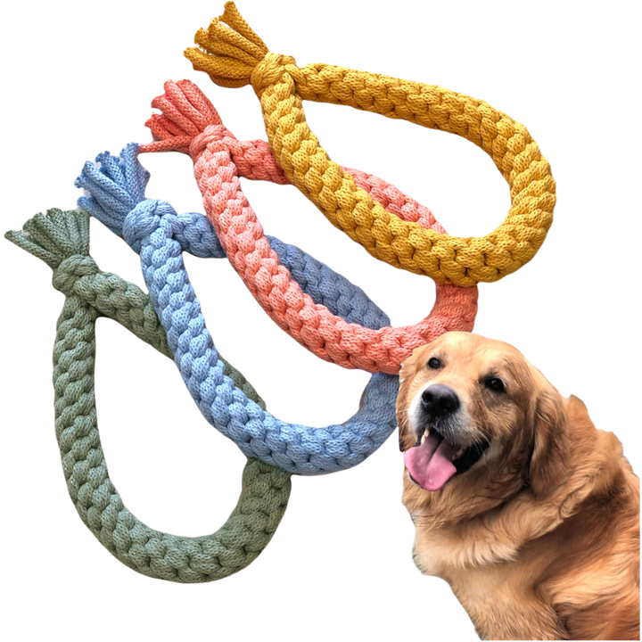 Chunky Loop Dog Toy