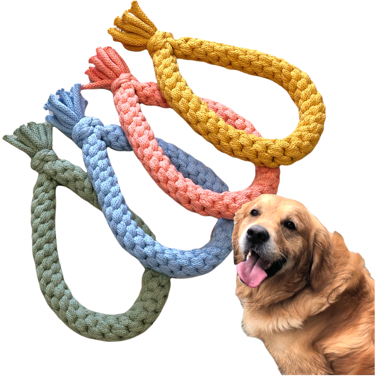 Chunky Loop Dog Toy