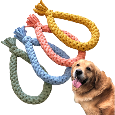 Chunky Loop Dog Toy