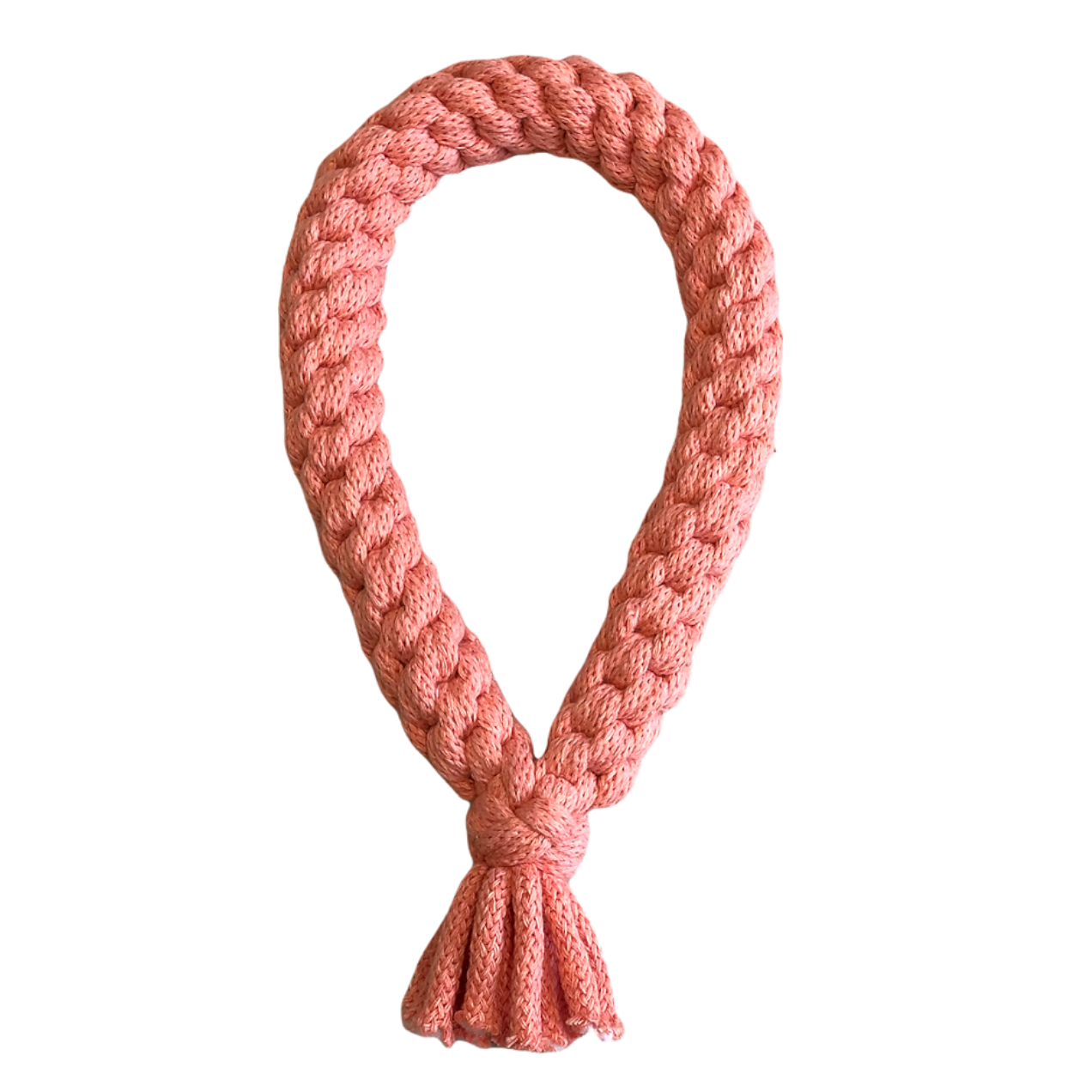 Chunky Loop Dog Toy