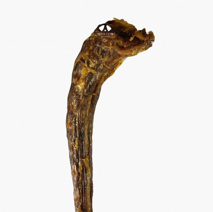 Turkey Necks