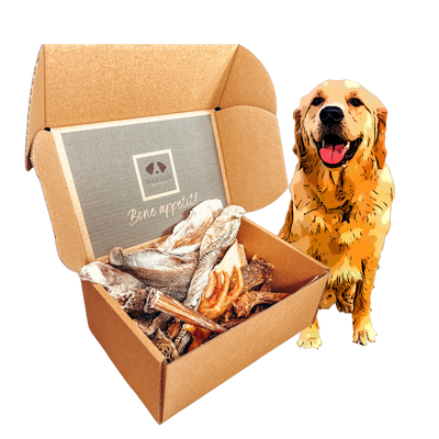 Signature Treat Box for Dogs by Woof Club Naturals